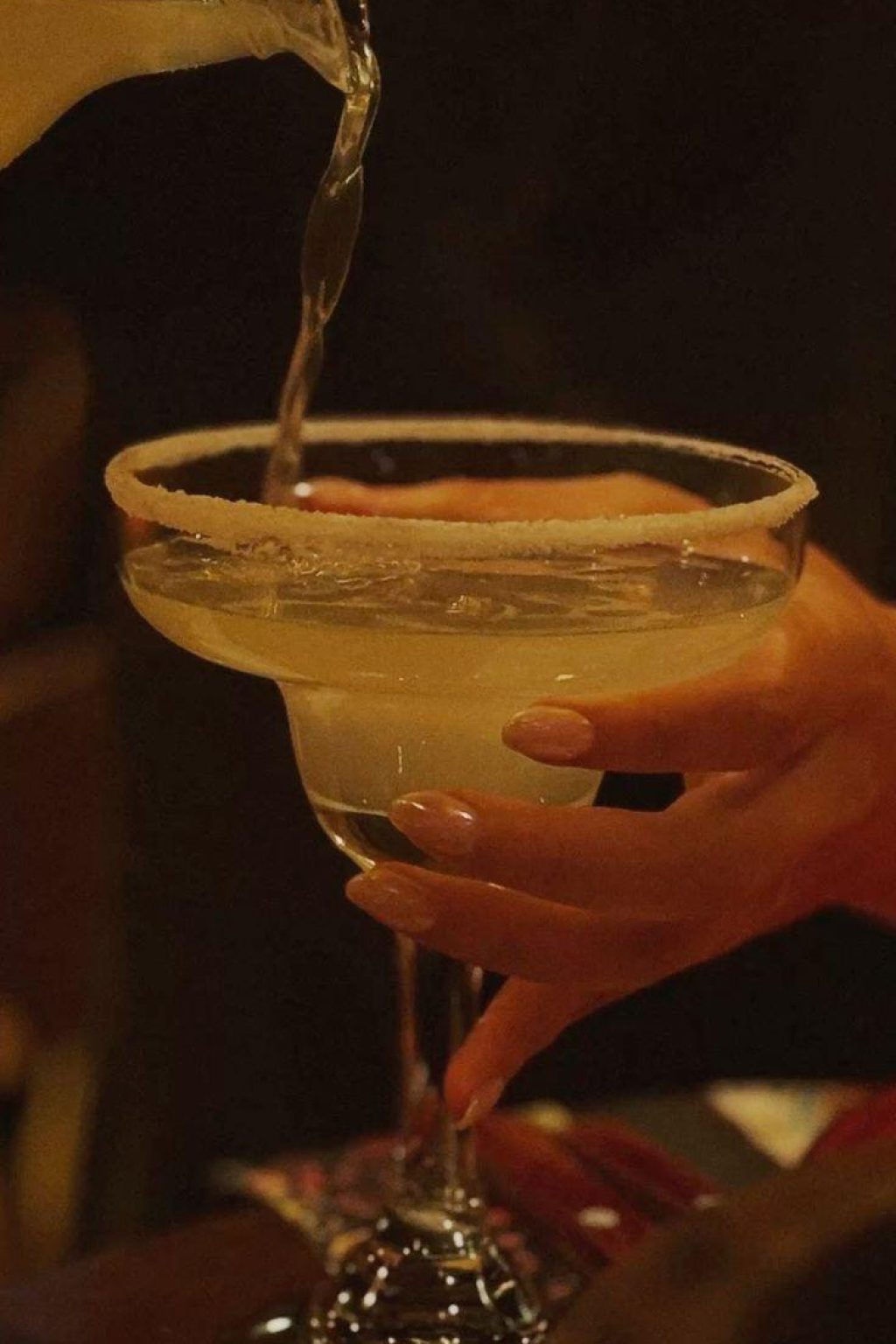 WhatsApp Image 2026-01-23 at 6.04.50 PM